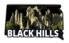 Black Hills Night Sky Needles Magnet